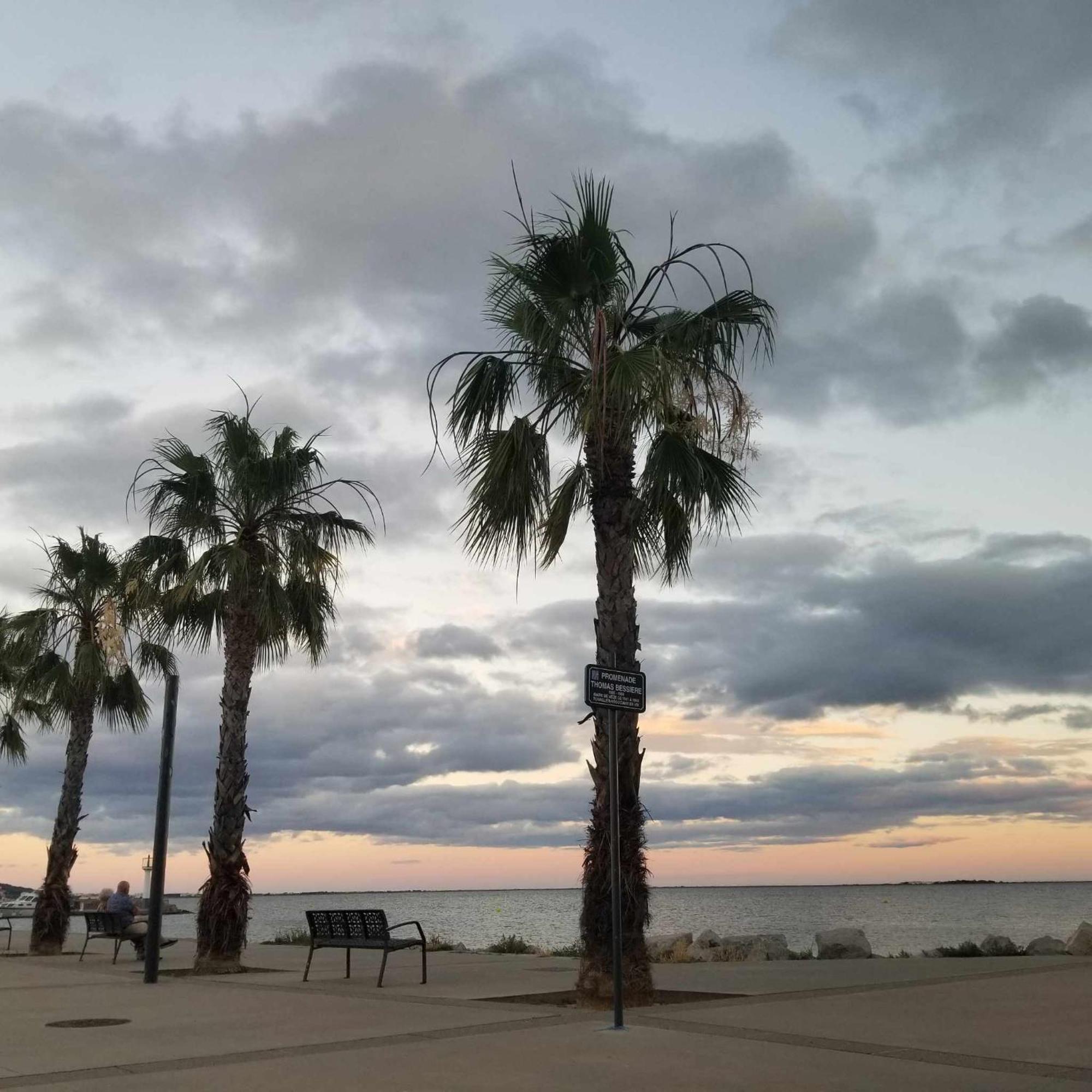 La Baraquette De Thau Casa de Férias Mèze